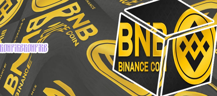 Bonfire crypto binance