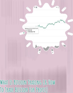 How much was a bitcoin in