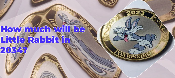 Little rabbit coin
