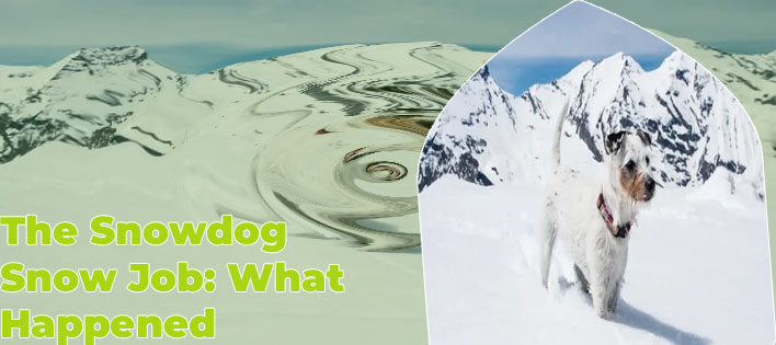 Snowdog crypto