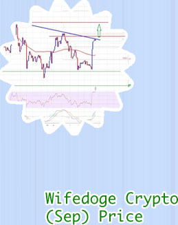 Wifedoge crypto price